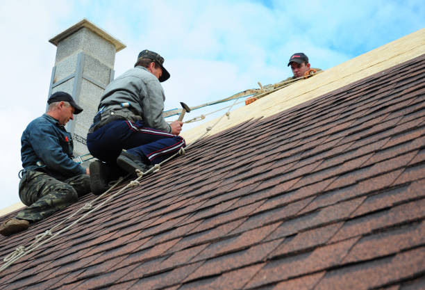 Best Gutter Installation and Roofing  in Swansea, IL