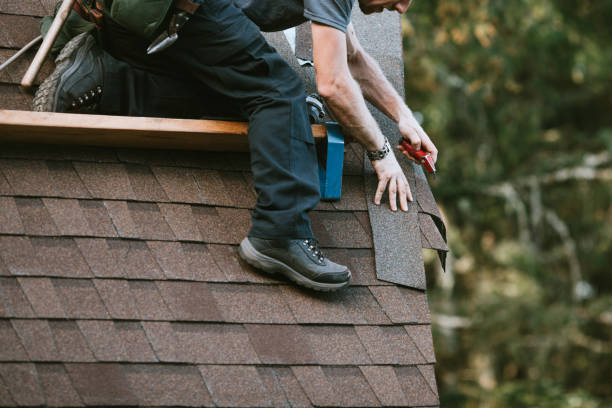 Best Roof Gutter Cleaning  in Swansea, IL