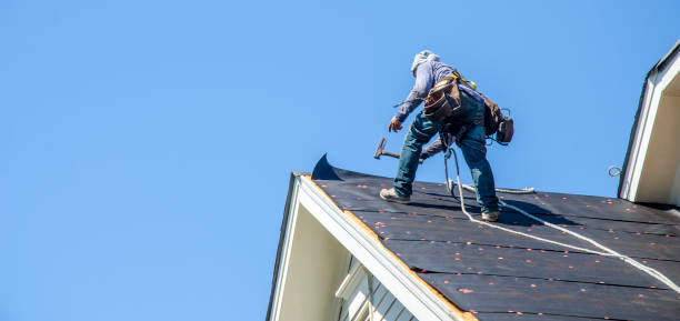 Best Metal Roofing Contractor  in Swansea, IL